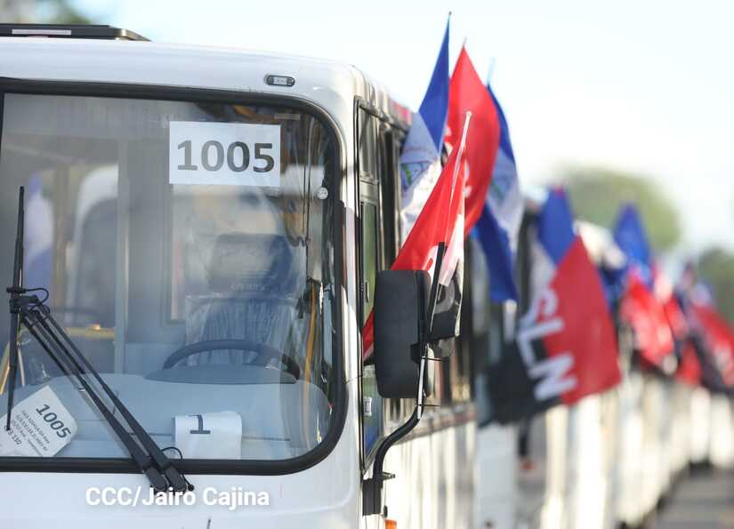 BUSES